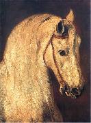 Piotr Michalowski Studium of Horse Head France oil painting artist